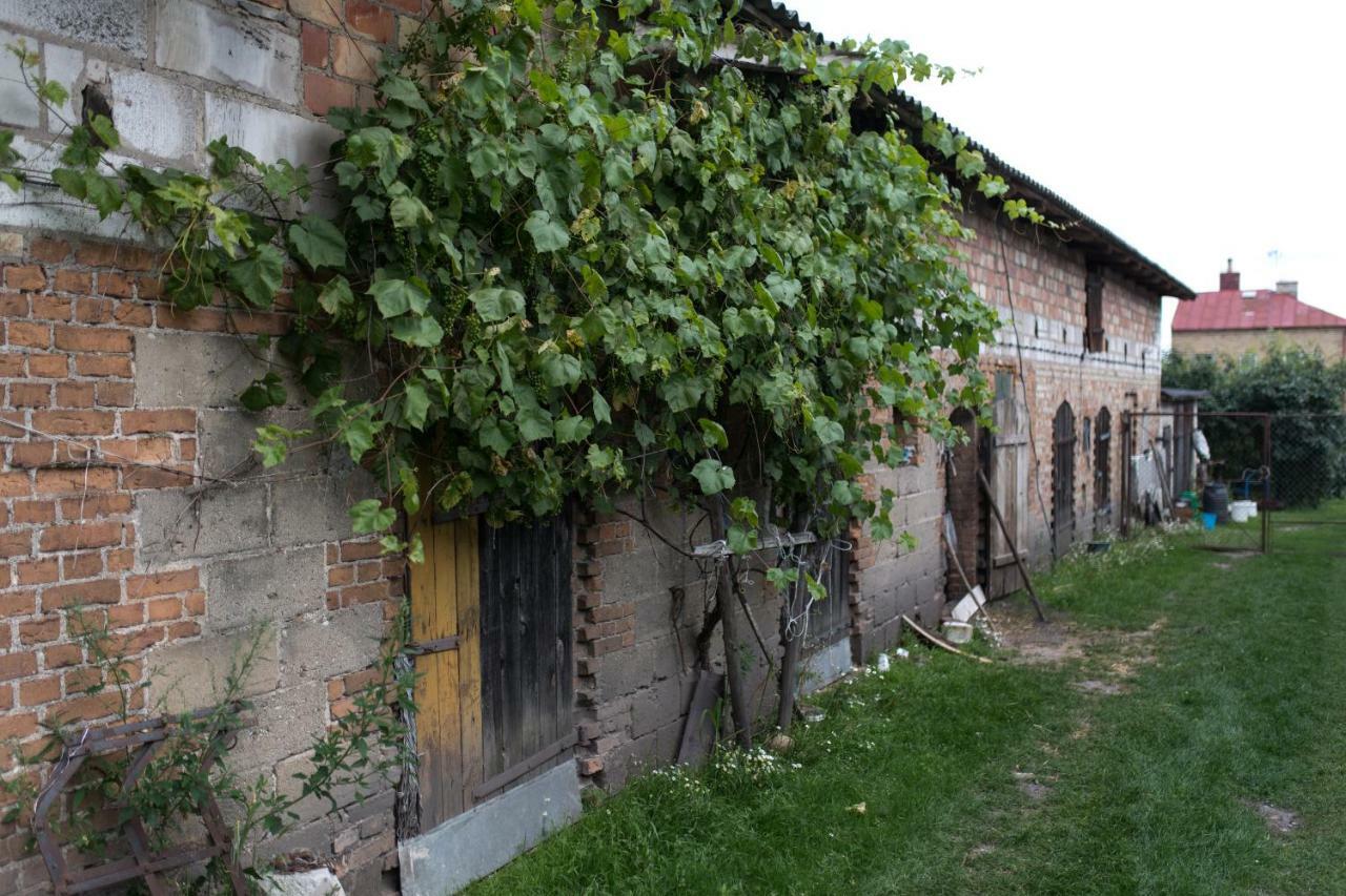Agroturystyka Karpinscy Wizna المظهر الخارجي الصورة